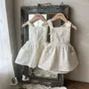 Vestidos de menina 1-6y bebê de verão roupas crianças vestidos coreano fofo algodão de renda de algodão princesa