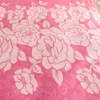 Bedding Sets Pink 3/4pcs/set Winter Set 6D Carved Crystal Velvet Duvet Cover Flat Sheet Pillowcase Warm Washable Bed Quilt