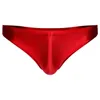 Sous-vêtements Gay Hommes Ceinture Élastique Brillant Taille Basse Culotte Lingerie Slips Maillots De Bain Bas Couleur Unie Sous-Vêtements