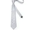Шея галстуки Dibangue мужчины связывают белое серебро Пейсли Дизайн шелк свадебный галстук для мужчин хэкки для заполотки набор модных модных вечеринок вечеринка