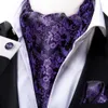 Neckband Hitie Silk Men's Ascot Tie Pocket Square Cufflinks Set Cravat Ascots Scrisch Self British Style Gentleman Dress Scarve Party Party