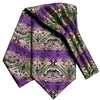 Coules de cou Hittie Luxury Paisley Cravat for Men Purple Green Pocket Square Cuffe Links Ascot Scarf Tie NOUVEL