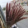 Decorative Flowers & Wreaths 15 Pieces Of Dried Reed Flower Arrangement Natural Pampas Grass Modern Home Decoration Party Wedding Supplies H