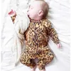 Giyim Setleri Bay Cotton Suit Yaz Yürümeye Başlayan Çocuk Bebek Çocuk Panda Kızlar Butik Minirodini 230225