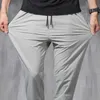 Pantalons pour hommes 2023 Nouveaux pantalons élastiques en soie de glace coréenne Four Seasons Thin Casual Men'S Loose 9Point Large Size Small Foot Sports Pants Spring Z0225