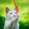 Cat Toys 1pcs Cats Bell Ball voor kauwspeelgoed houten swing staart klinkende huisdieraccessoires