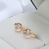 Charm Kinel Luxury Söta äppelörhängen för flickor 585 Rose Gold Natural Zircon Stud örhängen Barn Baby Xmas Gifts Animal Jewelry G230225