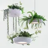 Suspension Lampes Plante Lustre Spécial Jardin Balcon Simple Idyllique Verdure En Pot Personnalisé Créatif Nordique