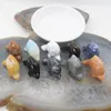 Kolye Kolyeleri Doğal Taş Turquoises Quartz Kristal Kaplan Göz Aventurine Dolphin Seyirler Kolye Takı MA için Taşlı Taşlı