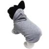 Классическая одежда для собак Классическая осенняя зимняя одежда Маленькая и средняя одежда Тедди -домашнее пиджак повседневный капюшона для собак - xxl