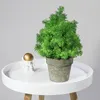 Dekorative Blumen Bonsai künstliche Pflanzen Kunststoff Gras gefälschte Simulation Hochzeit Pografie Personal