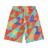 Grote maten herenshorts Zomerkleding in polaire stijl met strand uit de straat puur katoen q22