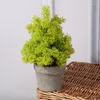 Dekorative Blumen Bonsai künstliche Pflanzen Kunststoff Gras gefälschte Simulation Hochzeit Pografie Personal