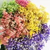 Decorative Flowers & Wreaths 50g/20-30cm Natural Fresh Preserved Babysbreath Flower Real Forever Baby Breath Branch For DIY Eternal M