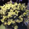 Fleurs décoratives artificielles 16 têtes, feuilles d'eucalyptus en soie pour décoration, Bouquet de plantes d'arbre, couronne de Faux feuillage pour la maison