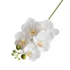 Fiori decorativi Buon fiore finto Non appassisce Bellissimo artificiale a 5 teste Rami di Phalaenopsis finti Pografia Prop