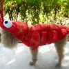 Roupas de vestuário de vestuário de cachorro roupas engraçadas de traje de estimação de pet-up de lagosta de lagosta