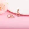 Hoop Earrings Rose Gold Sparkling Double Sterling Silver Jewelry For Woman DIY Wedding Party Make Up Accessories