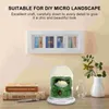 Storage Bottles Dome Cloche Display Bell Jar Terrarium Flower Case Planter Clear Base Cover Preserved Globe Vase Holder Decor Garden Bottle