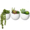 Decorative Flowers 7Pcs Lifelike Artificial Plants Succulent With 3Psc White Ceramic Flower Pots Gardening Vases Home Decor Accessories