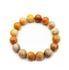 Strand Natural Coral Jade Single Circle Round Bead Bead Bracelet Chrysanthemum Stone High Flower Flower String