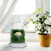 Opslagflessen dome cloche display bel jar terrarium bloem kas plantenster duidelijke basisomslag bewaard gebleven bouten houder decor tuin fles