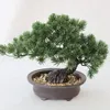 Dekorativa blommor simulerade tall bonsai artificiell växt hem inomhus dekoration falska krukväxter yingkesong plast