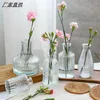 Vases Fresh And Simple Small Mouth Vase Glass Flowers Dried Water Living Room Home Office Decoration Ornaments