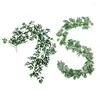 Fleurs décoratives 1 pièces 1.8M feuilles artificielles Simulation rotin 6.56Ft argent Dollar guirlande d'eucalyptus