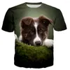 Heren t shirts border collie shirt man/dames 3d geprinte t-shirts casual harajuku t-shirt streetwear tops