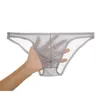 Slip Sexy sous-vêtements hommes slips mince maille pure taille basse culotte solide doux confortable élastique respirant mâle