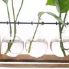 Vases 2 Set Glass Vase: 1 Tubes Shape Hanging Hydroponic Flower Plant Vase Terrarium Container & With