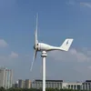 Generator turbin AMG Wind Power 600W 12V 24 V 5 3 Ostrza poziome generator wiatru do użytku domowego296V