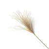 Dekorativa blommor A63i Natural 50st Torked Reed Bundle Bouquet Flower Pampas Grass Phragmites Wedding Holiday Party Decor