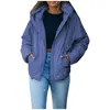 Damesjassen Lange vrouwen Vrouwen Vermasual jas jas Volledig ritssluiting Haper Harded Warm zacht omkeerbare fleece Winter Anorak