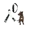 3 Taille Blancs De Sublimation Blanc Réglable Colliers De Chien Doux Néoprène Personnalisé Transfert De Chaleur Rembourré Respirant Collier Pour Animaux SN4331