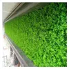 装飾的な花の花輪人工植物芝生DIY背景壁シミュレーショングラスリーフウェディングデコレーショングリーン卸売カーペットターフホームデコレーション230227