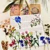 Geschenkpapier Vintage Journaling Aufkleber Pack 240 Stück Scrapbook Aufkleber Ästhetische natürliche Pflanze Blume Pilz