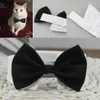 Dog Apparel Arrival Handsome Formal Cat Bow Tie Groom Tuxedo Costumes Pet Dogs Wedding Accessories Grooming Black Bowtie