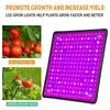 Grow Lights 4000W Lumière Led Spectre Complet Lampe Plante Ampoule Serres Semis Intérieur Phyto Tente US Plug