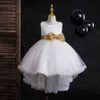 Sukienki dziewczyny kwiat dziewczyny sukienki dziecięce haft haftowane przyjęcie weselne sukienka księżniczka na imprezę dziewczyny w kulę dziewczyny odzież W0224