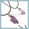 car dvr Pendant Necklaces Original Amethyst Stone Necklace Natural Healing Chakra Crystal Unisex Wholesale Drop Delivery Jewelry Pendants Dhjwl