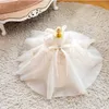 Robes de fille bébé dentelle robe d'anniversaire sans manches haut de gamme 1 an robe de baptême blanche fille venir robe de fille robe de princesse 1-10 ans porter