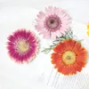 Decorative Flowers Wreaths Gerbera DIY Dried Pressed Flower Pictures Natural Specimens For Painting Decoration 10 Pcs 230227