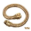 CAR DVR Dog Collar Leases Pmgpet Pet Gold Chain Puppy Halsband Rostfritt stål Bldog Leash 17mm Liten Middle Large Collar 1020 Drop Deli DHVX7
