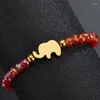 Brin Mignon En Acier Inoxydable Petit Éléphant Élastique Corde Bracelets Bonbons Couleur Cristal Perles Chaîne Bracelet Pour Femmes Enfant Bijoux Cadeau