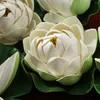 Fiori decorativi loto artificiale lily stagno galleggiante fiore fiore cuscine