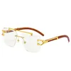 Herren Sonnenbrille Buffalo Horn Damen Brille Mode Frankreich Herren Optische Brillen Damen Gold Holz Brillen quadratische Rahmen287J