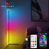 Lampade da terra Lampada da angolo moderna Led RGB Decorazione nordica Colorful Smart Standing Intelligente per la decorazione della camera da letto vivente Luce notturna