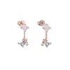 Dangle Earrings 925 Sterling Silver Rose Gold Color White Blue Cubic Zirconia CZ Paved Delicate Animal Charm Earring For Women